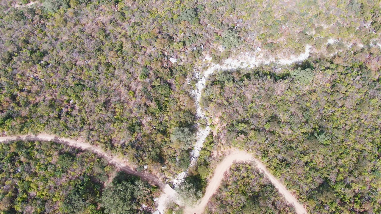 Overhead frame in San Dionisio, Baja California Sur, where the pale dirt road curves through the lower portion and the streambed runs through mottled green and brown vegetation, with no visible people.