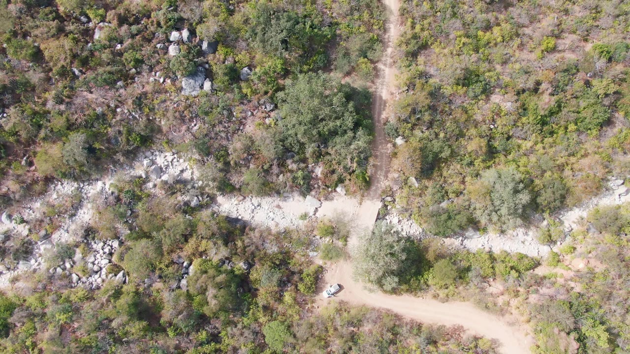 Overhead frame from San Dionisio, Baja California Sur, with the white vehicle on the lower section of the dirt road, bordered by trees, shrubs, stones, and dry ground, with no visible people.