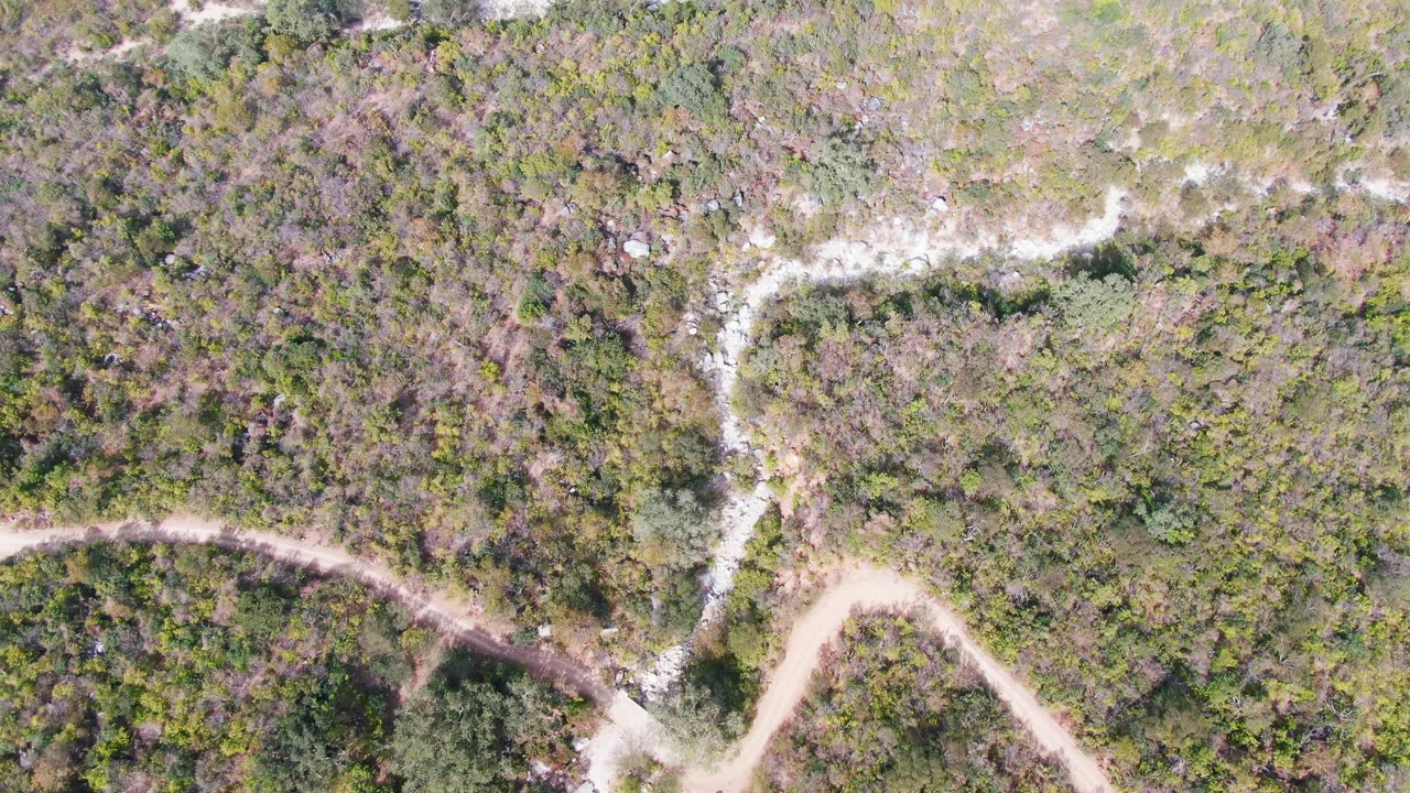 Overhead frame from San Dionisio, Baja California Sur showing pale dirt roads crossing dense green and brown scrub forest, with no visible people.