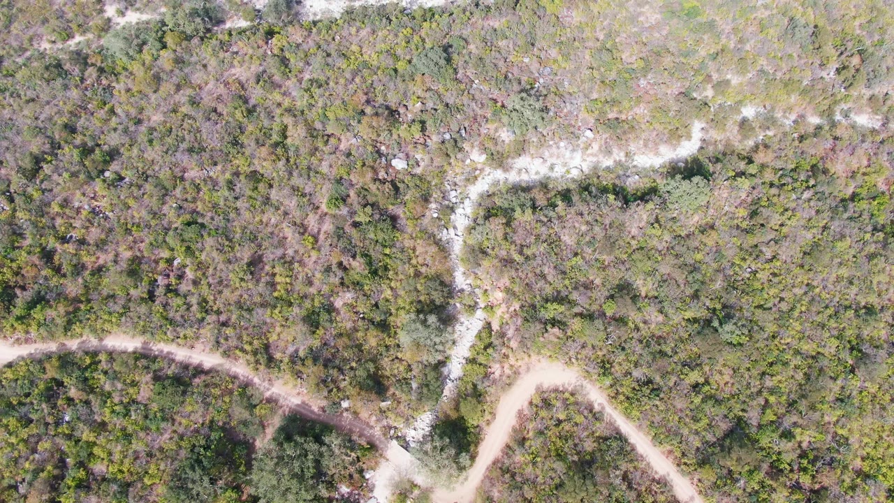 Aerial frame from San Dionisio, Baja California Sur with a pale road bending through mottled green and brown vegetation and no visible people.