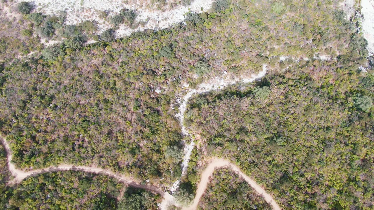 Overhead coastal scrub with pale winding dirt paths and sandy shore