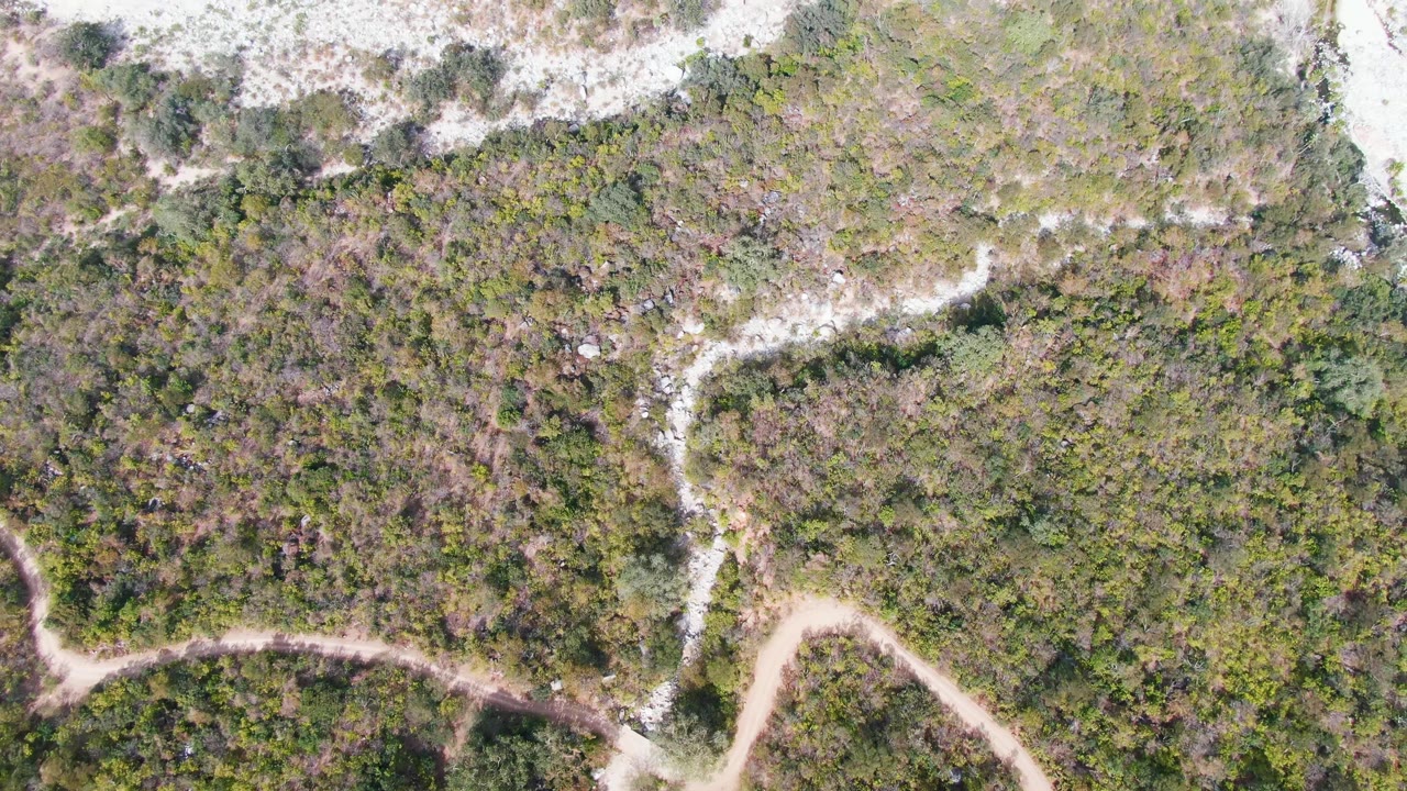 Aerial frame over San Dionisio scrubland where a pale trail bends across the lower area and a sandy strip borders the vegetation near the top, with no visible people.