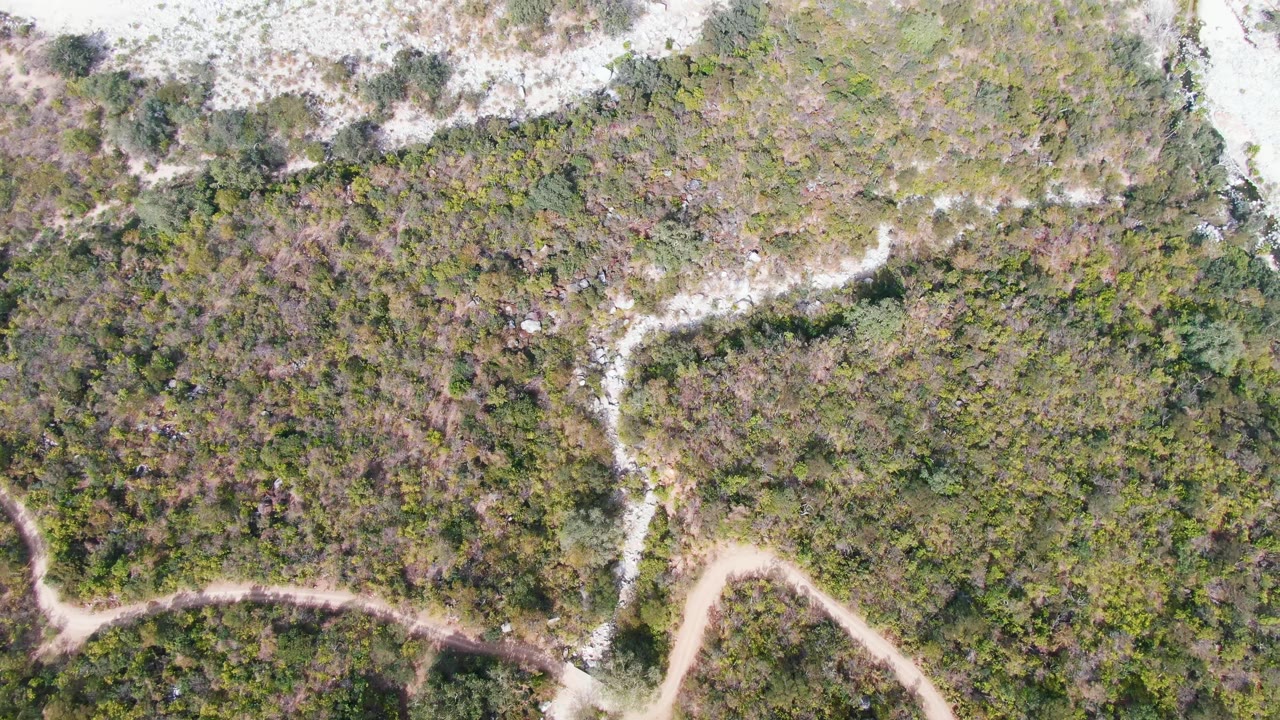 Top-down San Dionisio frame showing mottled green and brown vegetation, a branching pale dirt path, and a light shore band along the upper edge, with no visible people.