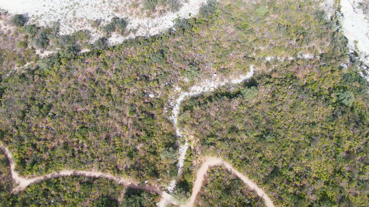 Overhead San Dionisio view with thick scrub filling the frame, a winding pale trail along the lower portion, and light sand above the vegetation, with no visible people.