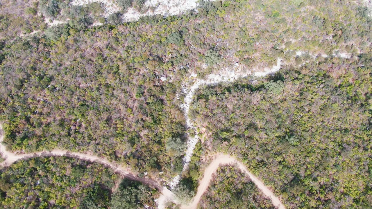 Overhead frame from San Dionisio, Baja California Sur, showing dense green-brown vegetation and pale winding dirt roads with no visible people.