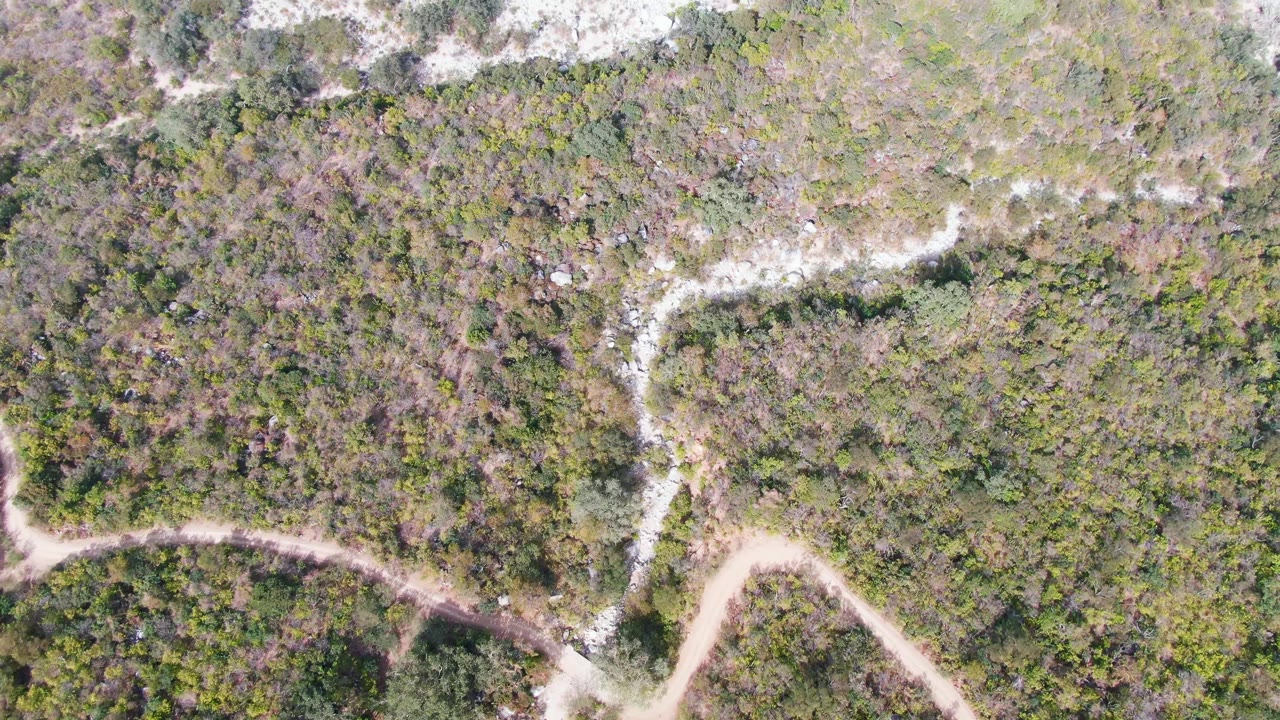 Aerial frame over San Dionisio vegetation with a curved dirt road cutting across the lower portion and no visible people.