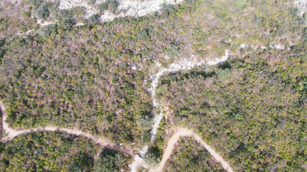 Overhead frame in San Dionisio showing a pale road junction, patchy scrub forest, rocky ground, and no visible people.