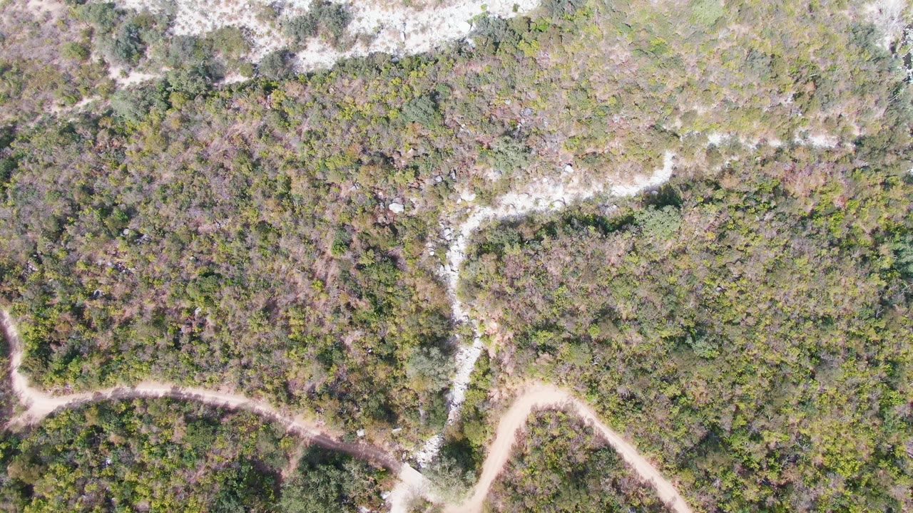 Drone frame over San Dionisio, Baja California Sur, with thick scrub, pale tracks near the frame edge, and no visible people.
