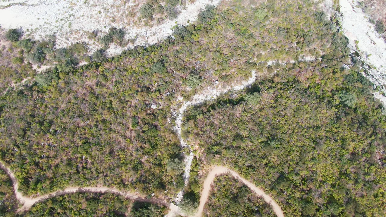 Overhead frame from San Dionisio, Baja California Sur showing a pale dirt path curving below dense green-brown hillside vegetation and exposed rock, with no visible people.