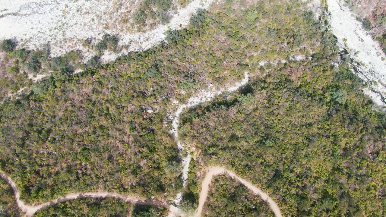 Drone-style overhead frame in San Dionisio, Baja California Sur showing the dirt trail threading between mixed green and brown brush, with pale rock patches and no visible people.