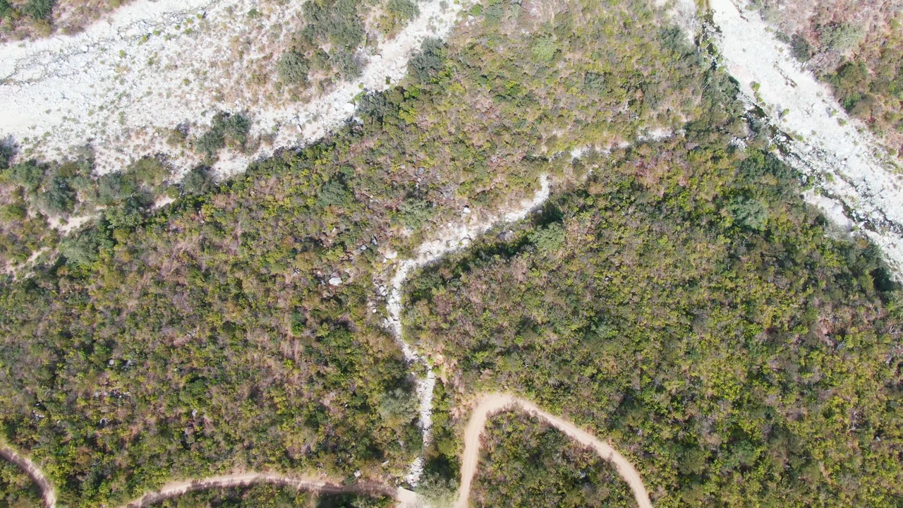 Overhead frame from San Dionisio, Baja California Sur showing a tan dirt road curving through green scrub, white rocky washes, and no visible people.