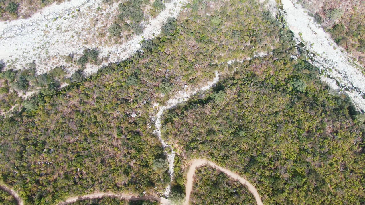 Aerial frame from San Dionisio, Baja California Sur with dense green-brown brush, branching white rock channels, a curved dirt track near the lower edge, and no visible people.