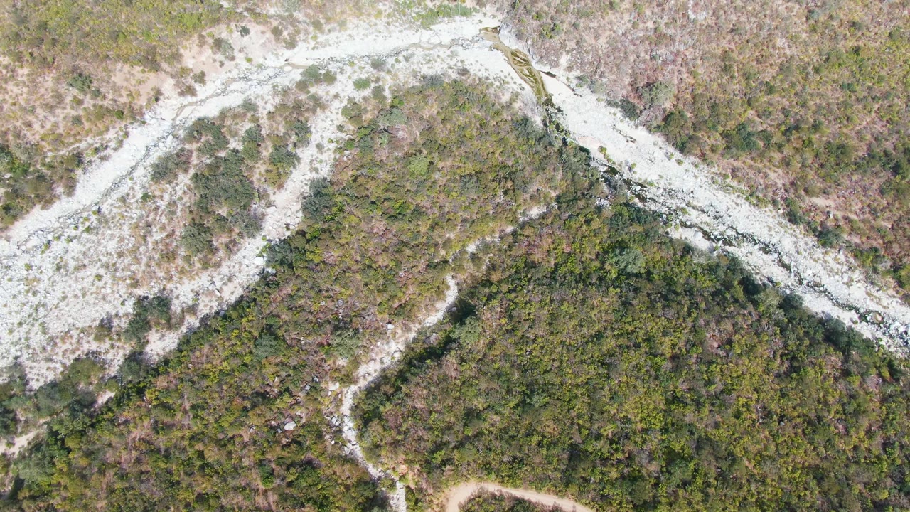 Overhead view of a pale winding dirt road through green hills.