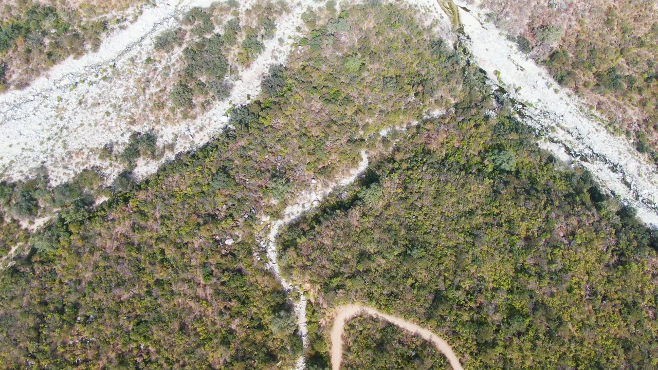 Overhead aerial frame in San Dionisio, Baja California Sur, showing a pale rocky ridge cutting diagonally through dense green and brown vegetation with a partial dirt path at the bottom edge.