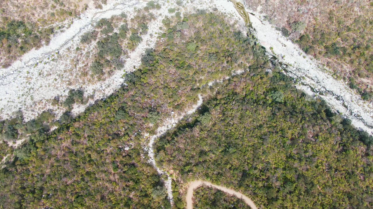 Top-down frame in San Dionisio, Baja California Sur, showing pale rock and gravel crossing the frame above a dense patch of green hillside vegetation.