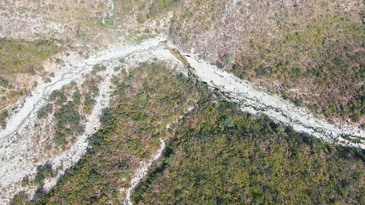 Overhead frame from San Dionisio, Baja California Sur showing a pale winding wash or dirt track crossing green-brown scrub terrain with no visible people.