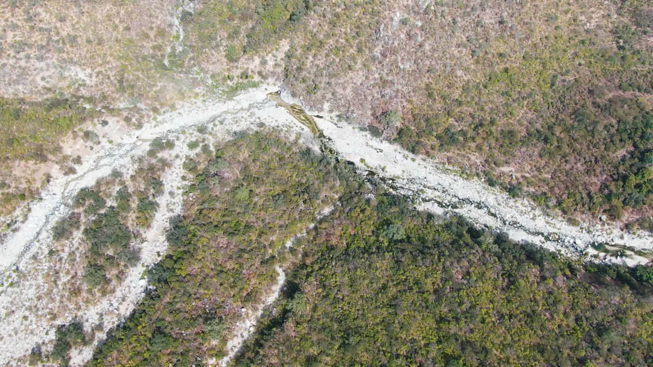 Top-down San Dionisio frame showing a fork-like pale wash shape through mottled green and brown vegetation, with no visible people, vehicles, or buildings.