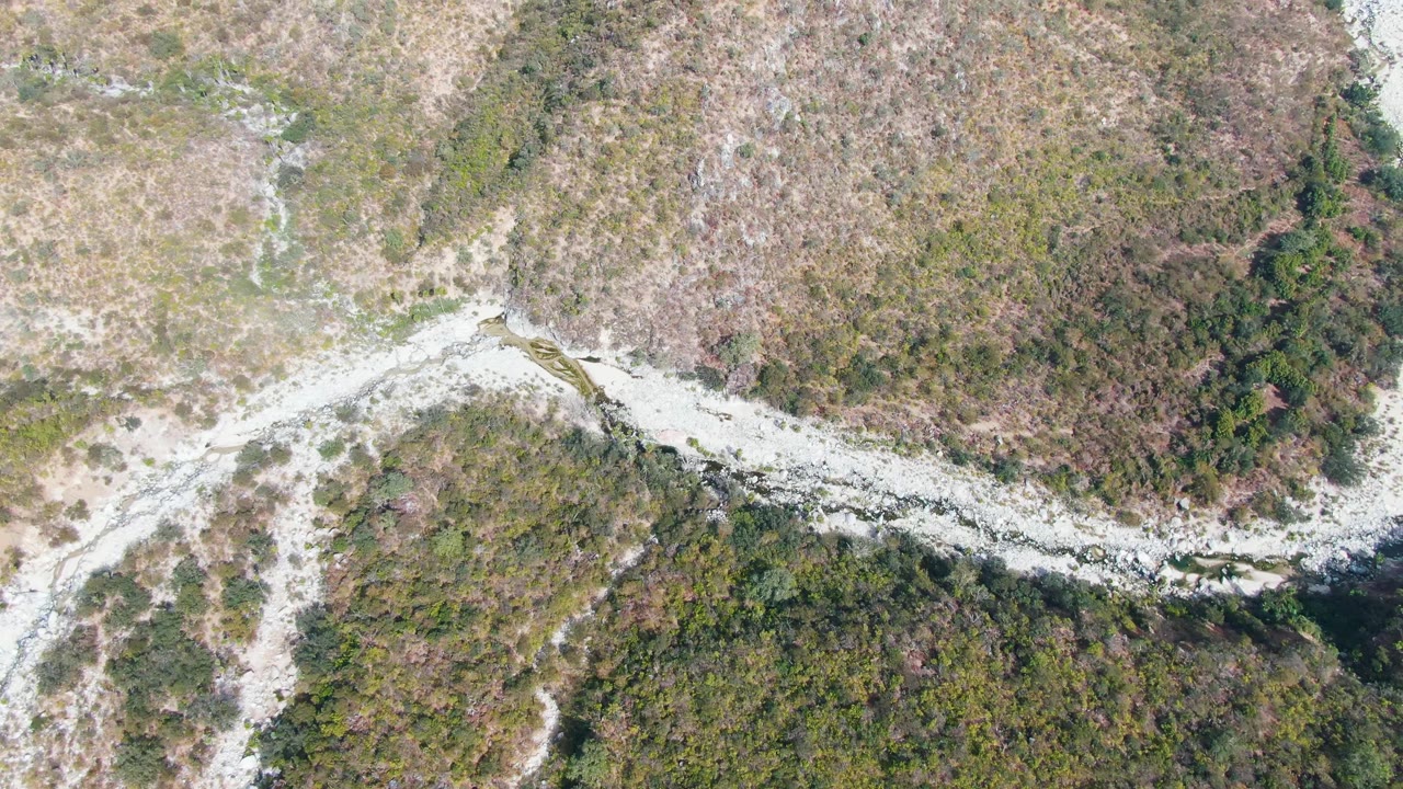 Top-down frame in San Dionisio, Baja California Sur showing the streambed bending across dry grassland with green shrubs clustered on one side, with no visible people.