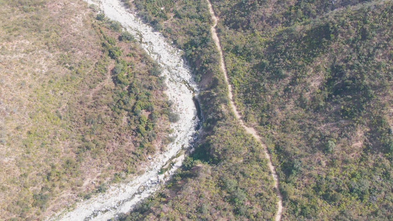 Aerial frame over San Dionisio, Baja California Sur showing a pale curving river channel, a narrow dirt road, dry tan grass, green shrubs, and no visible people.