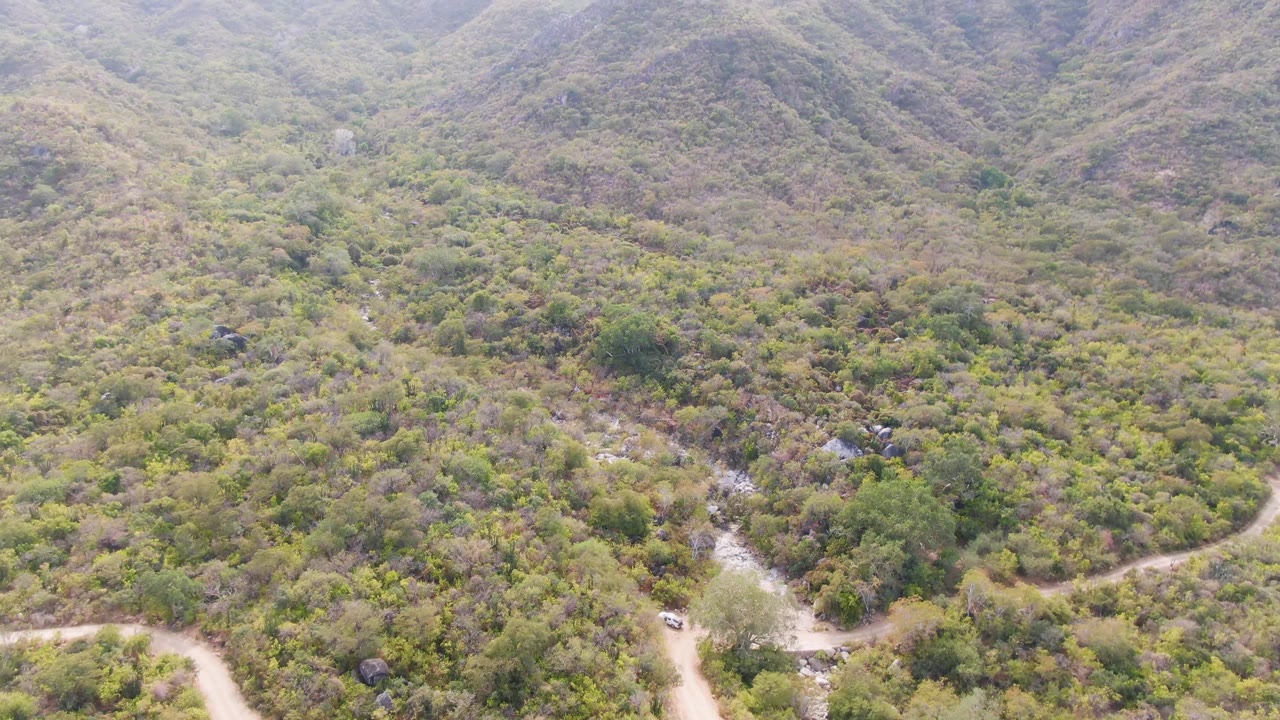 Aerial frame over San Dionisio, Baja California Sur, where the dirt road enters near the lower left and threads into dense brush below hazy hills, with no visible people.