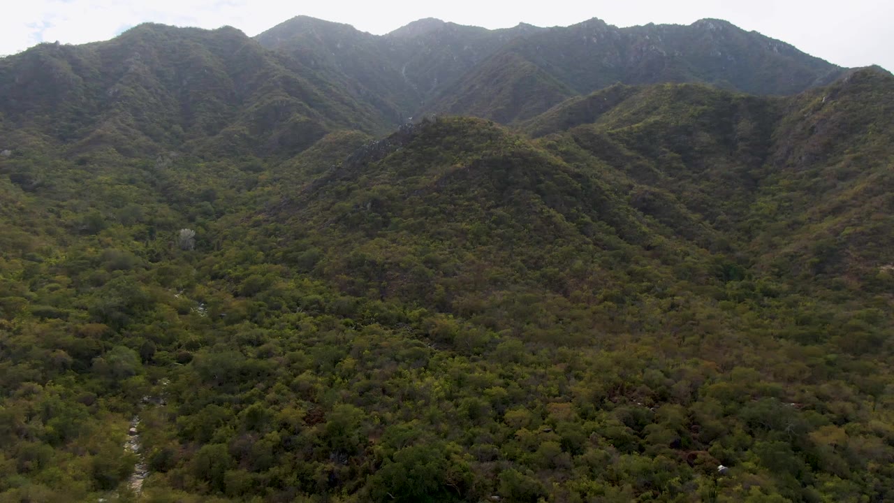 Aerial view in San Dionisio showing sunlit and shaded mountain slopes, dense vegetation, and a faint winding stream with no visible people.