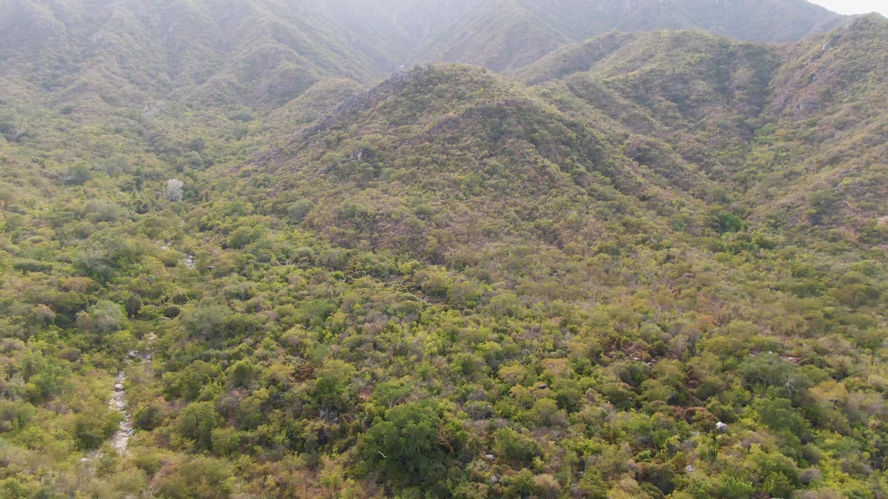 Brighter aerial frame over San Dionisio vegetation where the pale stream line runs through the valley between rounded ridges and no visible people appear.