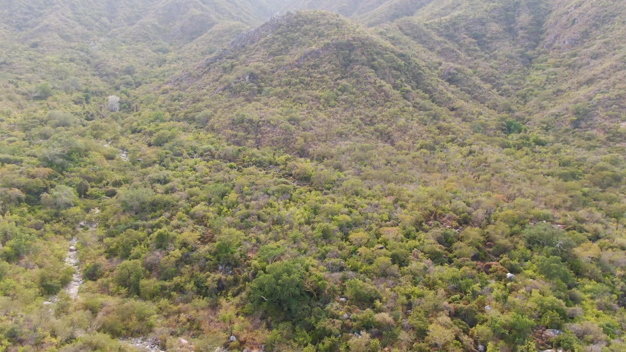Closer aerial frame in San Dionisio with scrubby forest, rocky-looking slopes, and a winding stream running through the lower valley with no visible people.