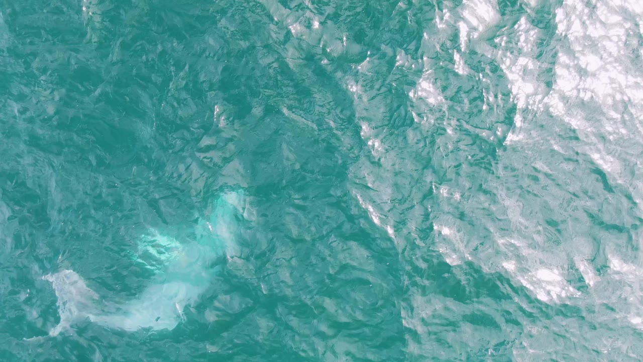 Overhead view at Shipwrecks, Baja California Sur, Mexico showing the whale as a softer pale shape near the lower left under textured turquoise water, no visible people.