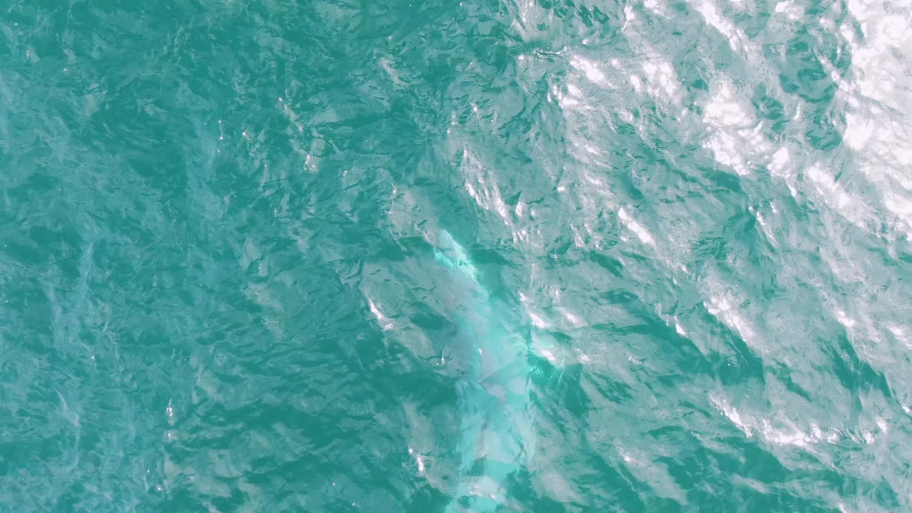 Turquoise sea surface with cloudy pale trail and diagonal ripples