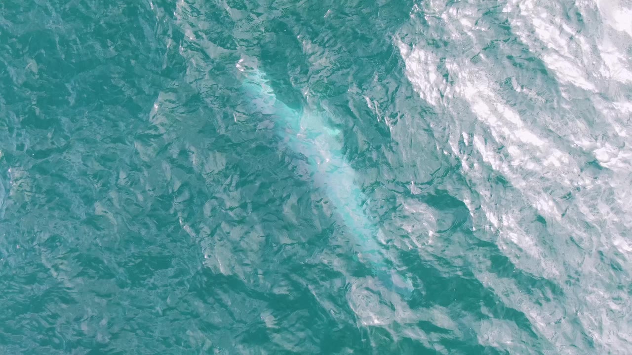 Turquoise water with white foam over a faint whale form.