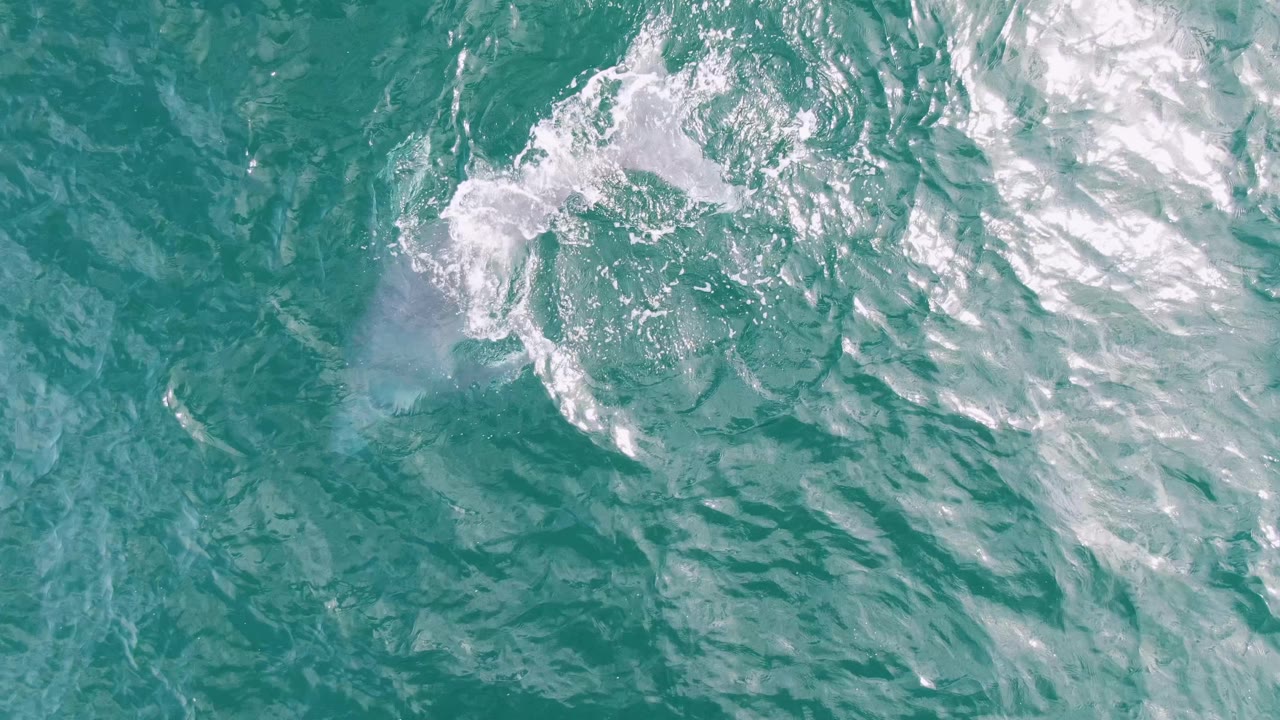 Overhead view of turquoise water at Shipwrecks, Baja California Sur, with bright whitecaps and a faint large marine animal shape below the surface, no visible people.