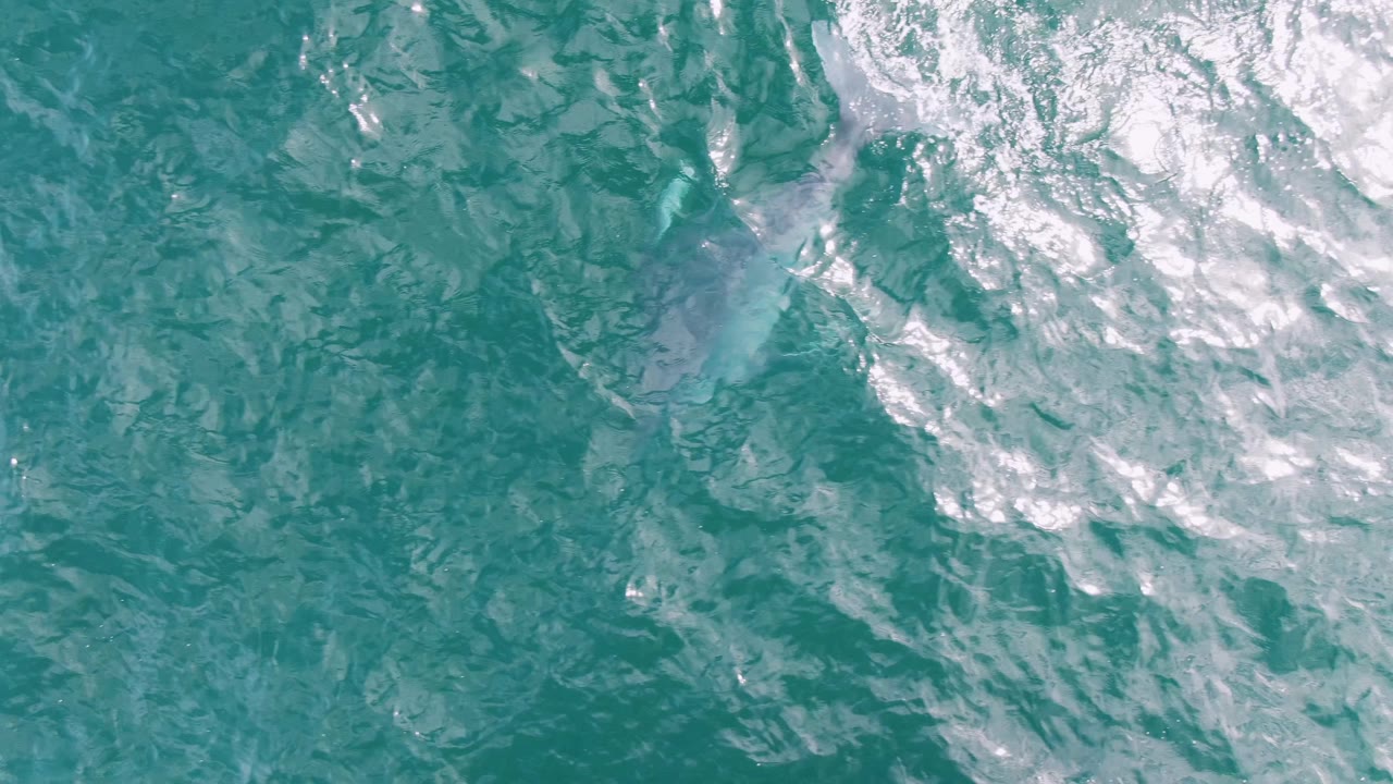 Overhead view at Shipwrecks, Baja California Sur, where whitecaps streak across turquoise water and a darker underwater marine shape sits near the upper right, no visible people.