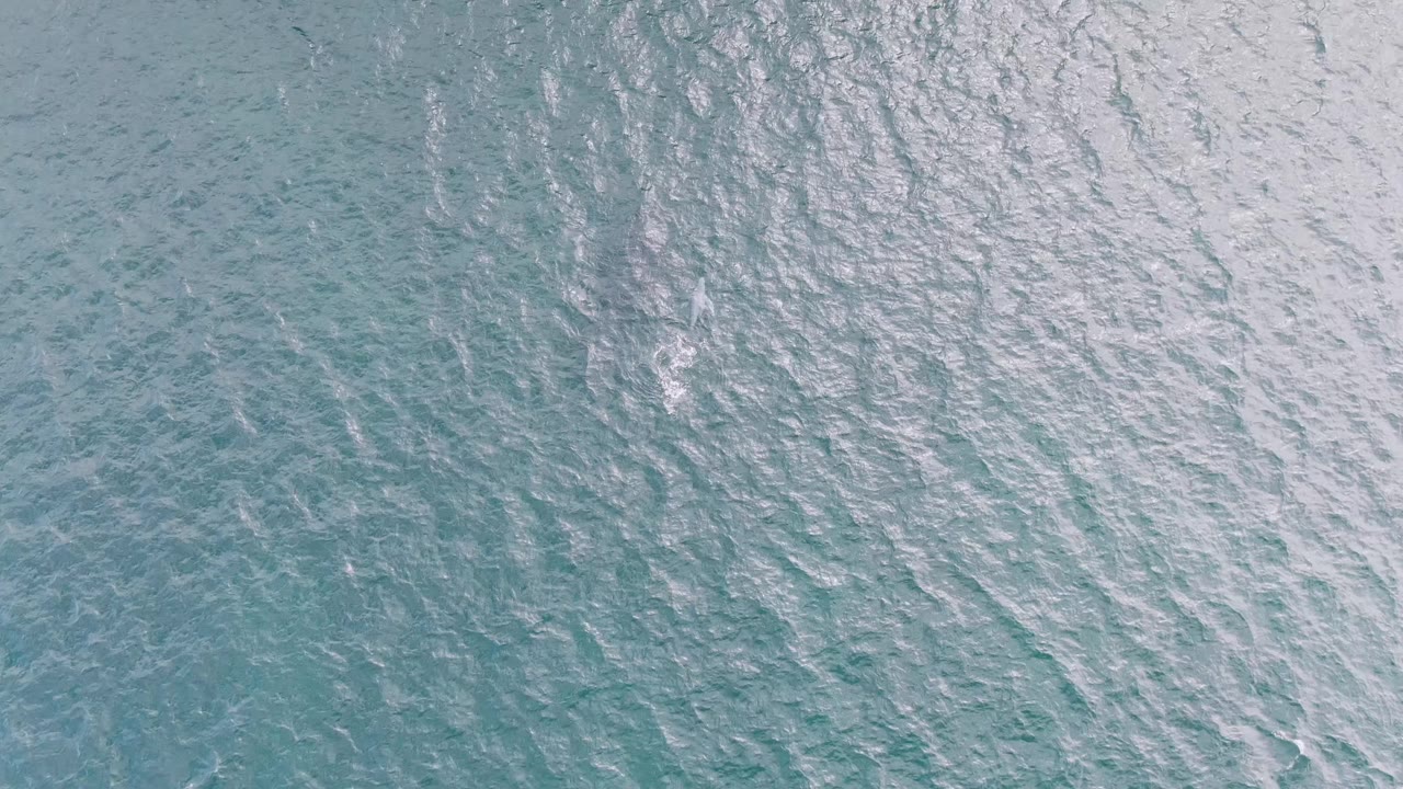 Aerial frame over Shipwrecks ocean water with wind-rippled turquoise texture and a faint white splash left of center, with no visible people.
