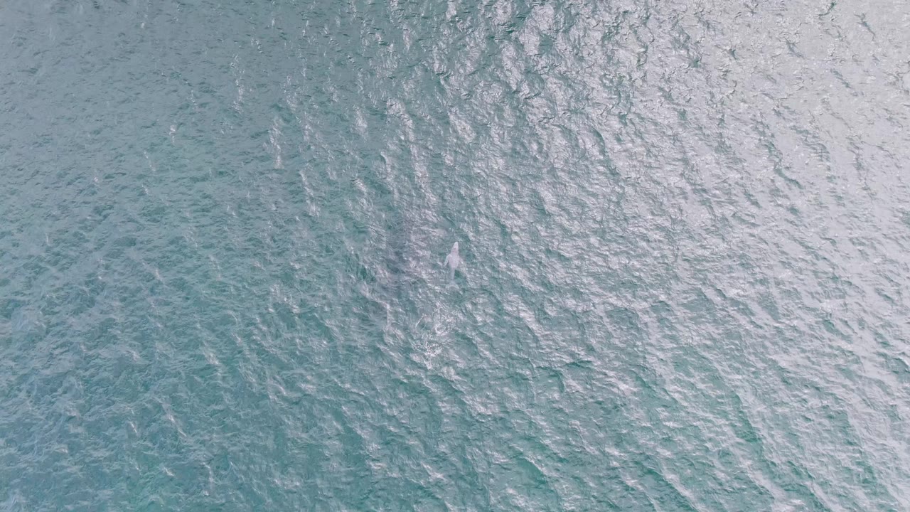 Aerial view of Shipwrecks ocean water where brighter surface glare and small wave lines cluster across the left side, with no visible people.