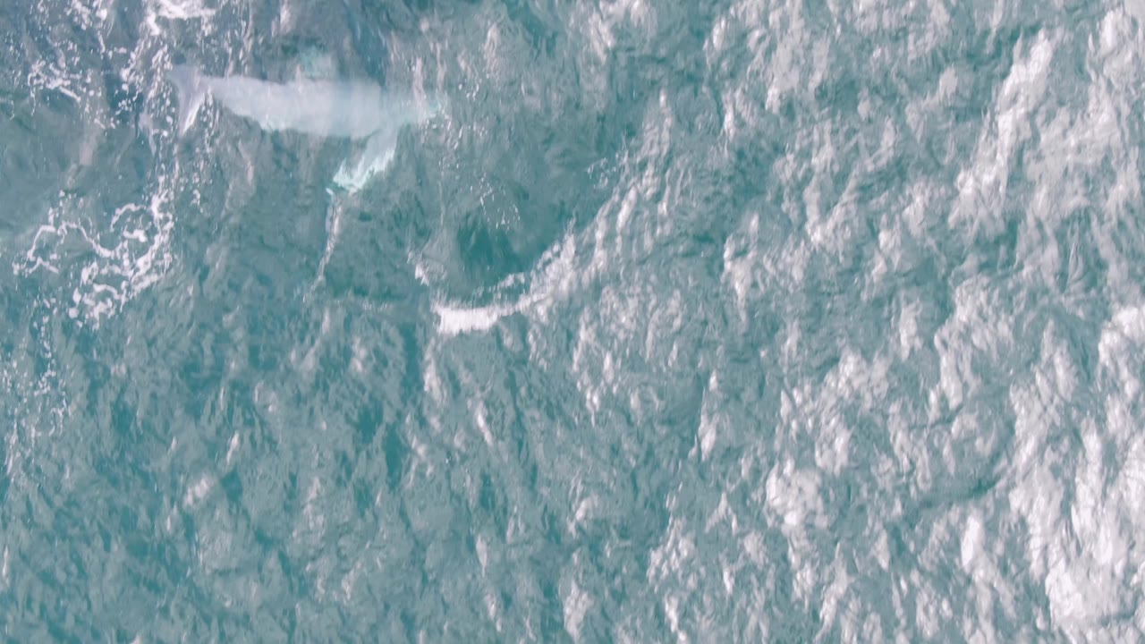 Overhead view of blue-green ocean texture at Shipwrecks East Cape BCS, Mexico, with scattered white foam streaks and no visible people.