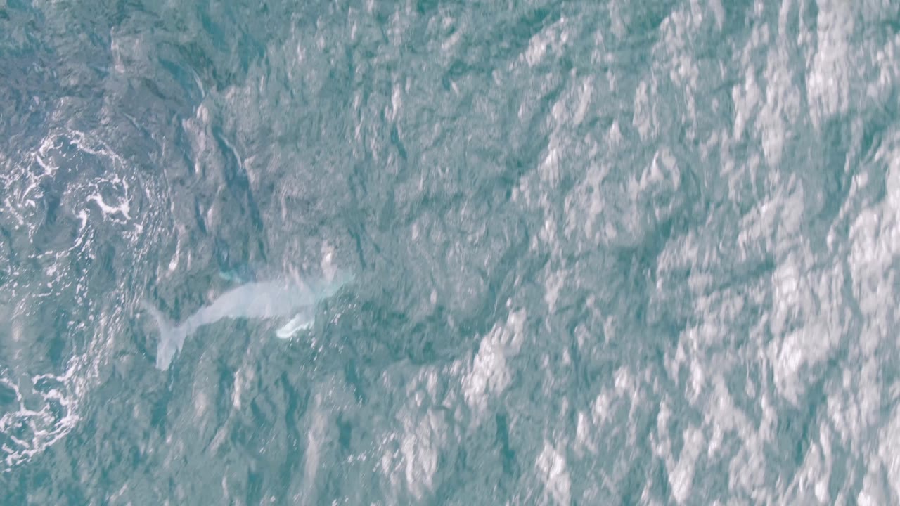 Aerial water surface at Shipwrecks East Cape BCS, Mexico, with gray-blue ripples, small white foam patches, and no visible people.