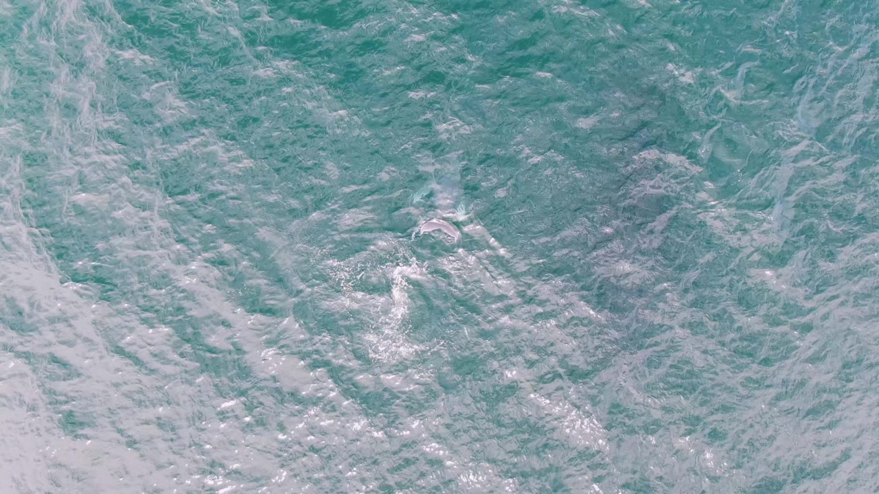 Turquoise ocean surface with white foam streaks