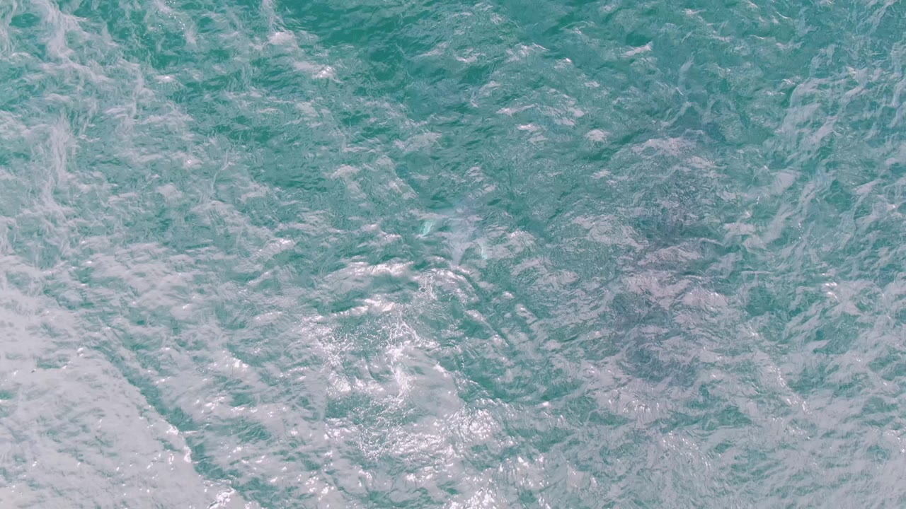Turquoise water fills the frame at Shipwrecks, Baja California Sur, with broken foam patches shifted across the ocean surface and no visible people.