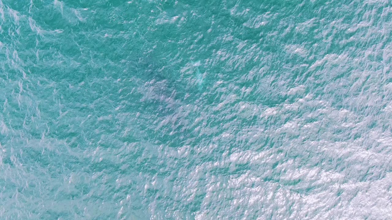 Turquoise ocean surface with white foam streaks.