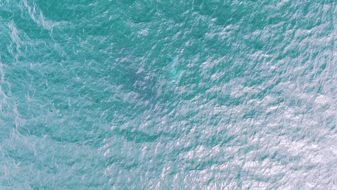 Blue-green sea surface at Shipwrecks, Baja California Sur, Mexico shows broader white foam patches across the upper water texture, with no visible people.