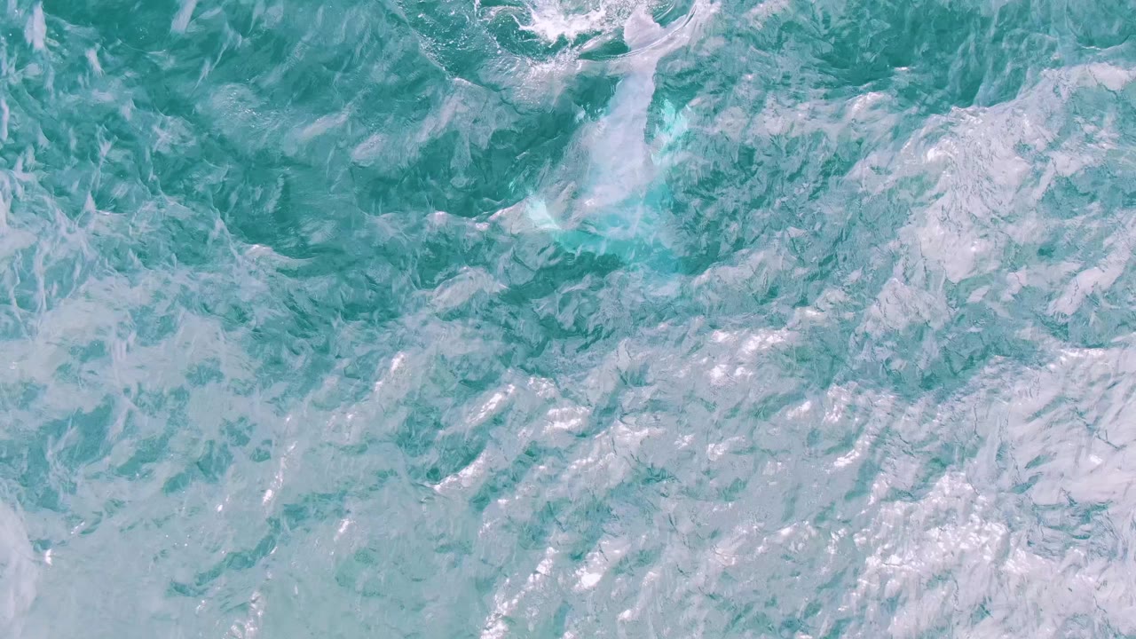 Overhead frame of turquoise ocean at Shipwrecks, Baja California Sur, where white foam and disturbed water mark the whale's recent movement, with no visible people.