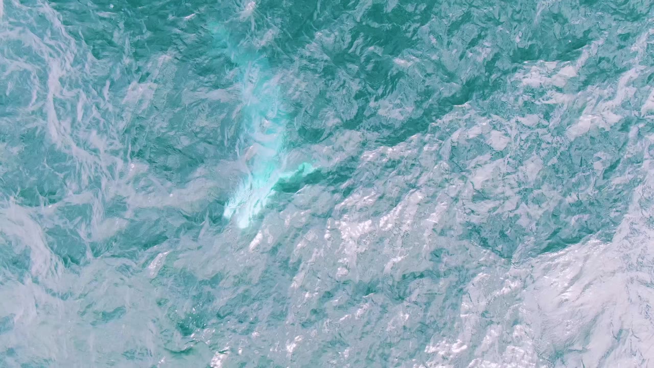 At Shipwrecks East Cape BCS, Mexico, a faint whale form sits below the textured turquoise ocean surface with white ripples and no visible people.