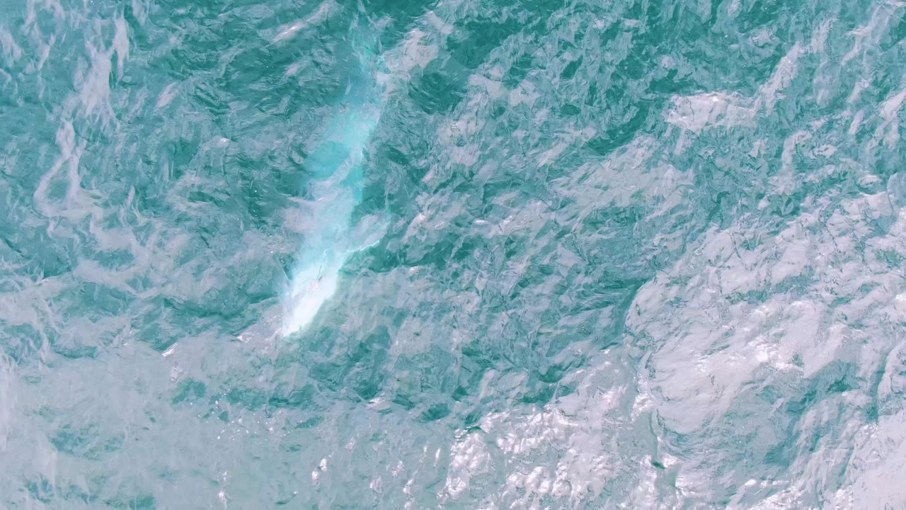 At Shipwrecks East Cape BCS, Mexico, the whale appears more defined under the pale turquoise water, surrounded by broken white wave texture and no visible people.