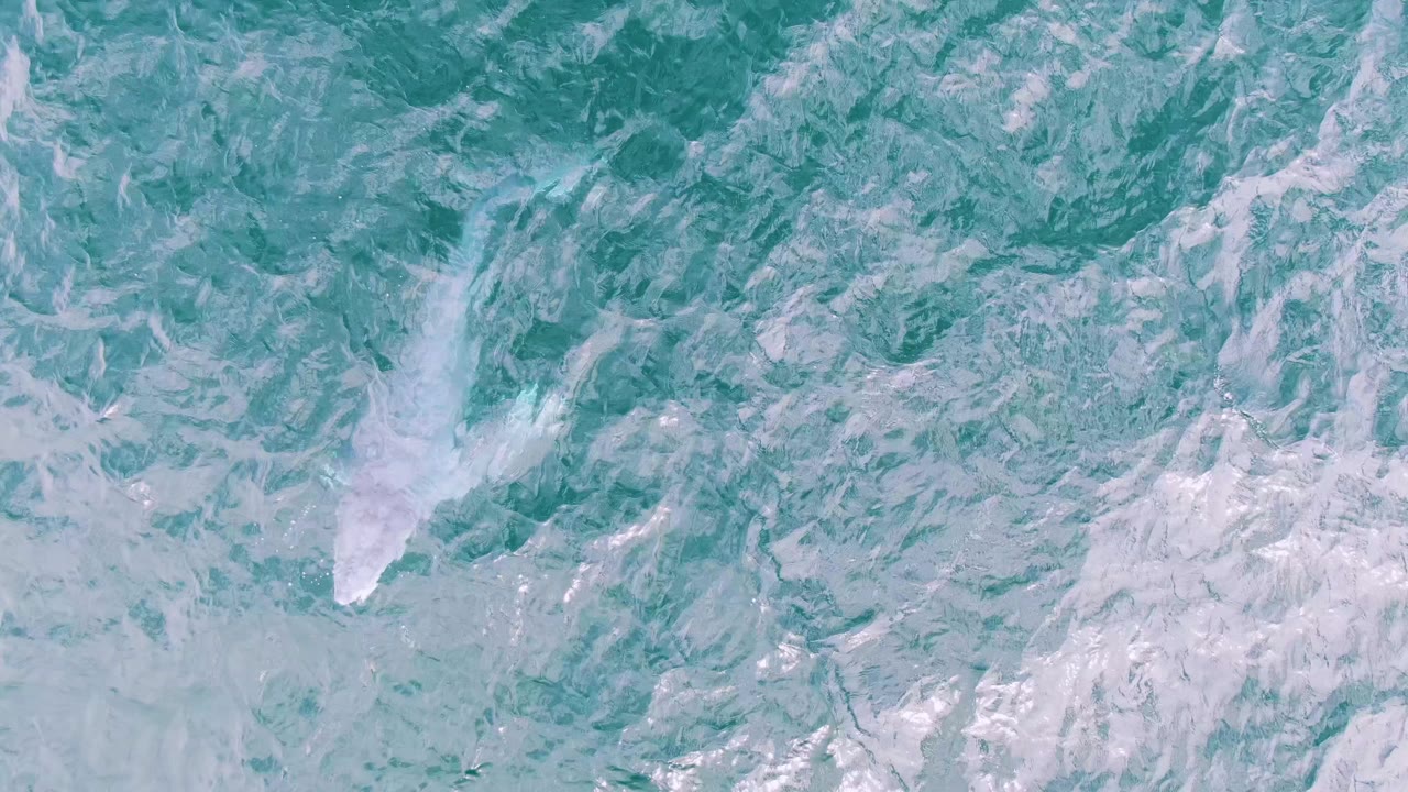 Whale shape near the lower left under milky turquoise water