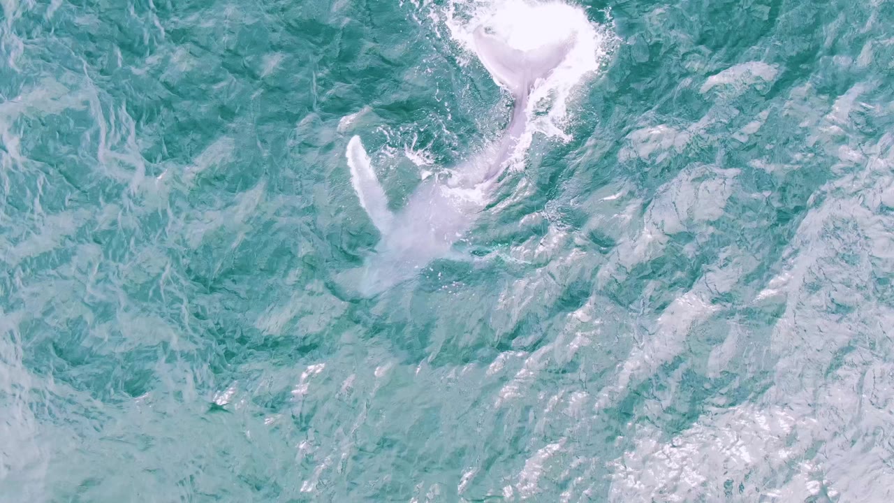 Aerial frame over Shipwrecks, Baja California Sur, showing a pale splash and disturbed water near the upper center of the turquoise ocean, with no visible people.