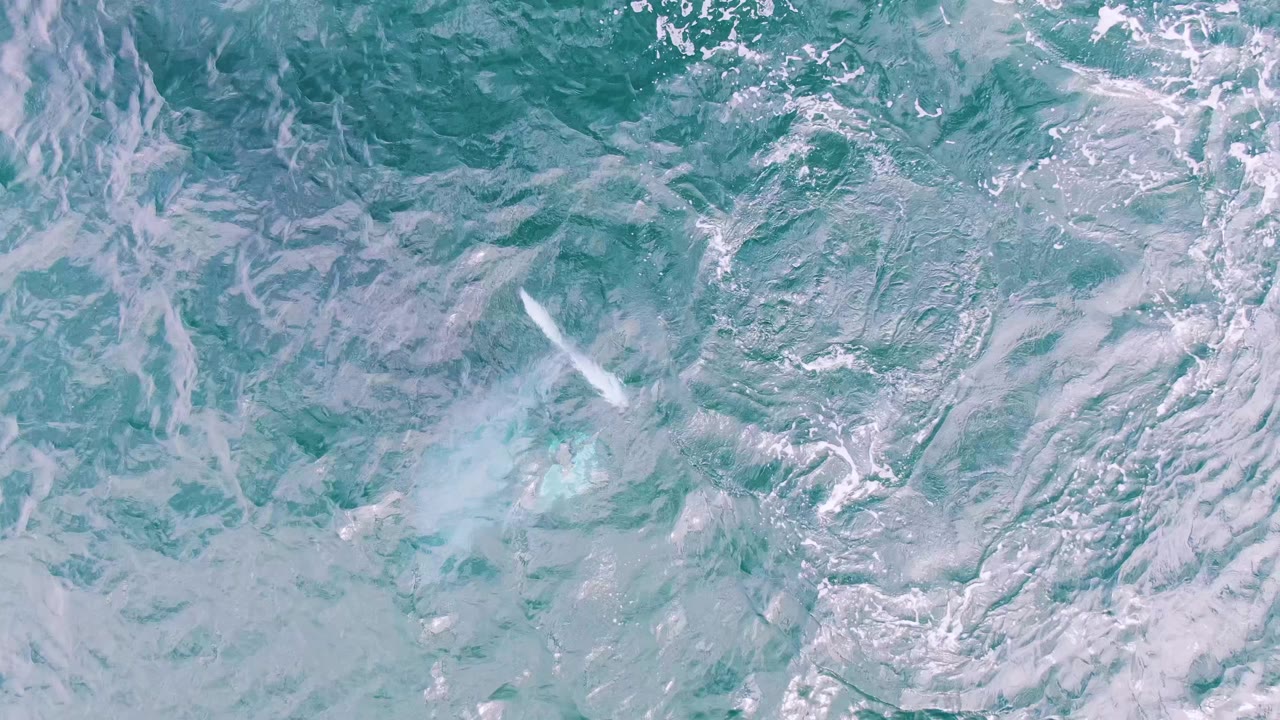 A faint pale streak and spreading foam remain in the turquoise ocean at Shipwrecks, Baja California Sur, Mexico, after the whale dive, with no visible people.