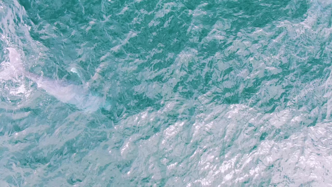 Foam and ripples spread across turquoise ocean water at Shipwrecks, Baja California Sur, with the dolphin partly obscured beneath the surface and no visible people.