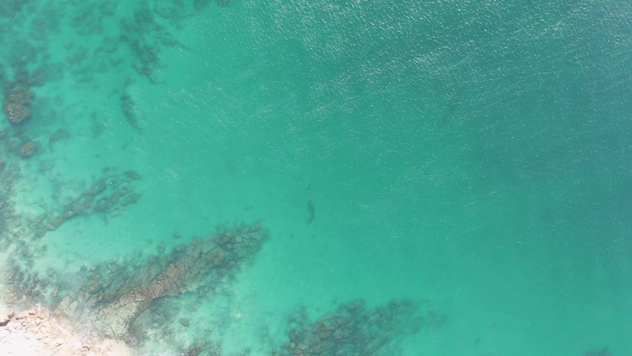 Overhead Buzzards Beach frame with clear aqua water, a pale sandy corner, scattered dark rock formations beneath the surface, and a small dark shape in the shallows.