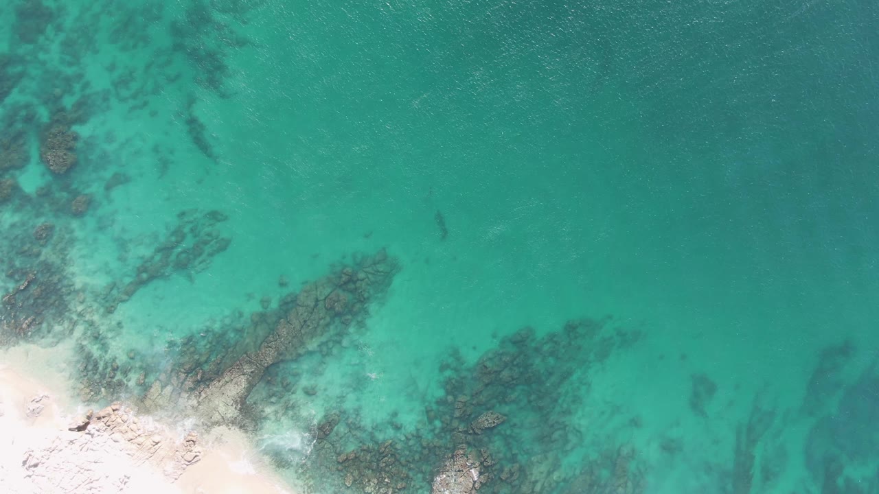 Aerial frame over Buzzards Beach showing the sandy corner lower left, branching dark underwater rock bands, clear green-blue water, and no visible people.