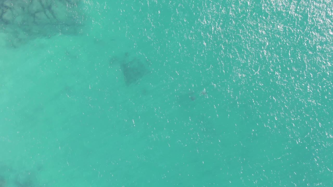 Straight-down view over Buzzards Beach turquoise ocean water, with subtle dark shapes under the ripples and no visible people.